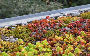 the cost of Kinbuck green roof installation