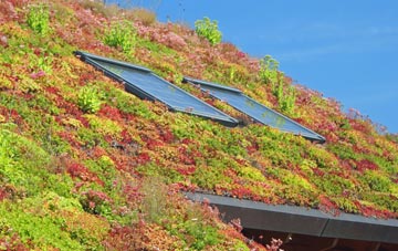 Kinbuck living roof systems
