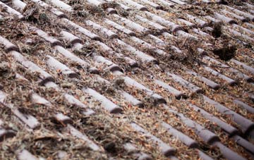 Kinbuck roof cleaning companies