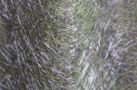 Kinbuck fibreglass roof work